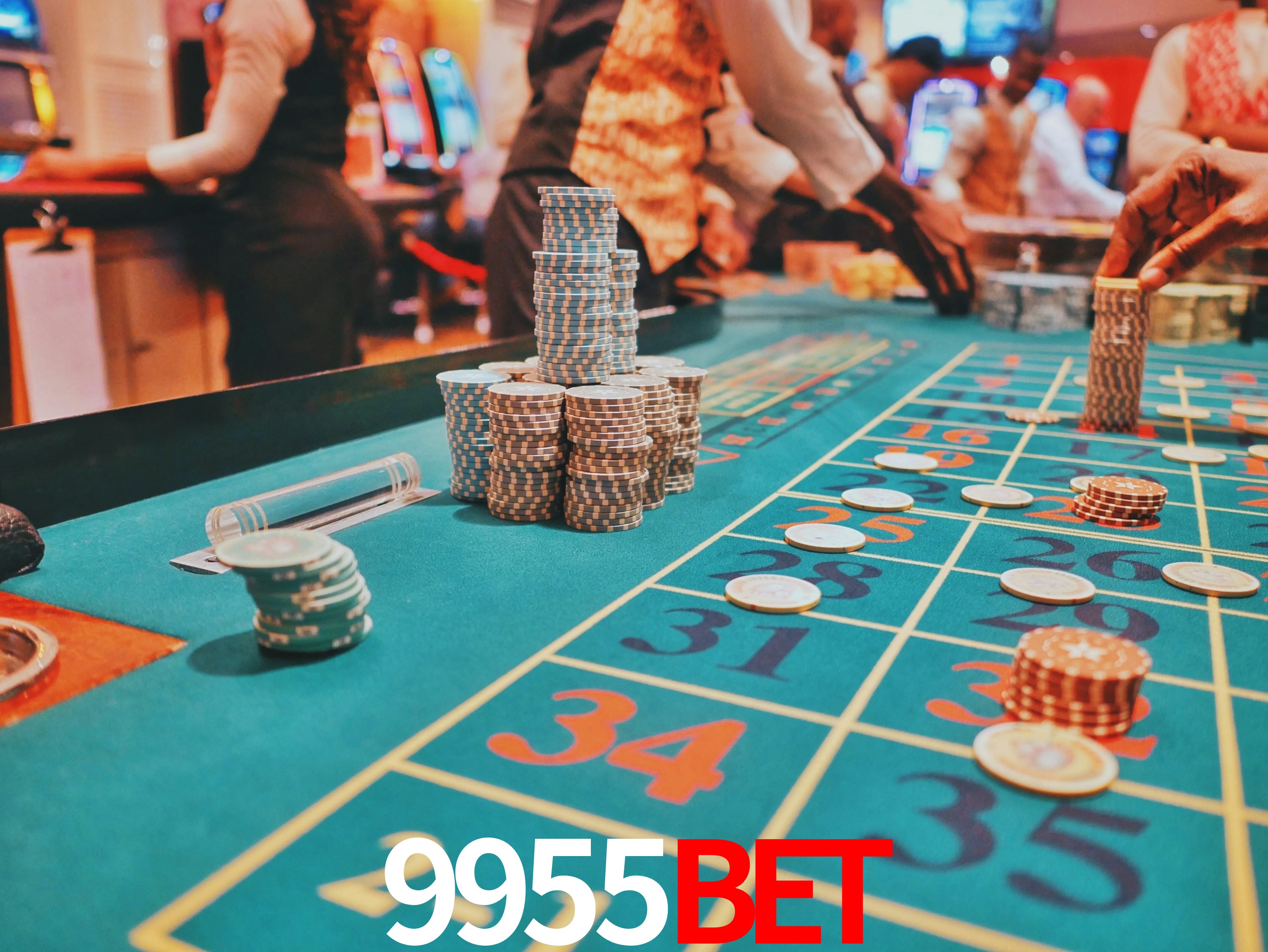 Sports Statistics 9955Bet
